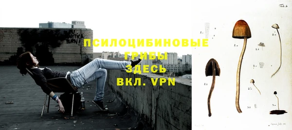 соль ск Зеленодольск