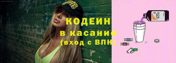бошки Иннополис