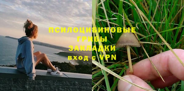 соль ск Зеленодольск