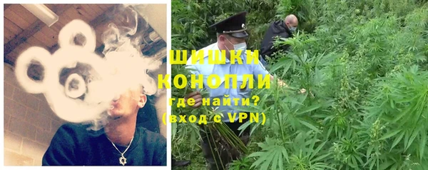 соль ск Зеленодольск