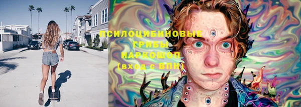ПСИЛОЦИБИНОВЫЕ ГРИБЫ Зерноград